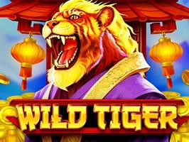 Wild Tiger game thumbnail